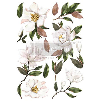 Transfer 24x35 - Magnolia Grandiflora